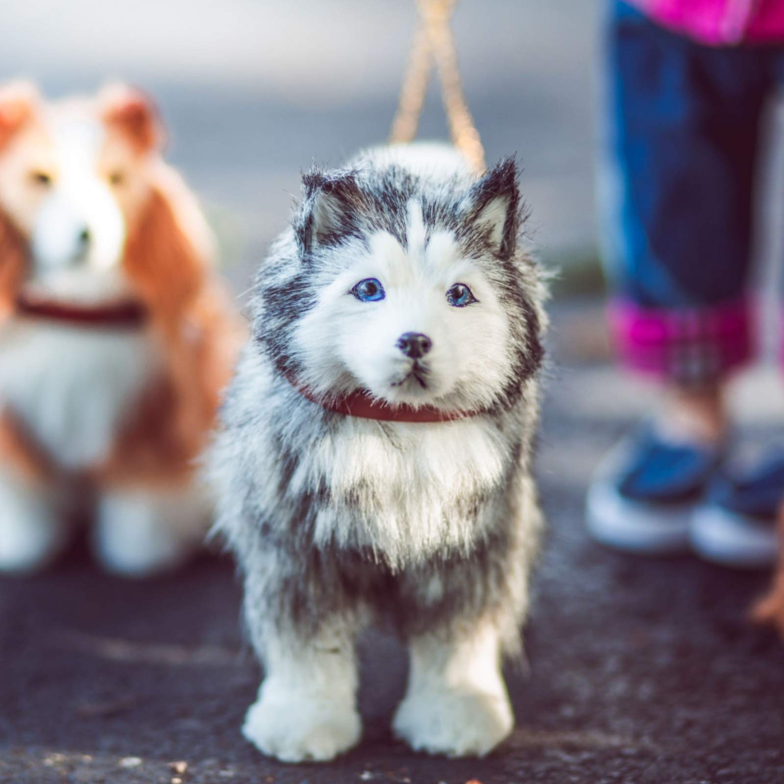 Foto 5 | Doll Pet The Queen's Treasures Husky Pupdog Para Muñecas De 18 Pulgadas - Venta Internacional.