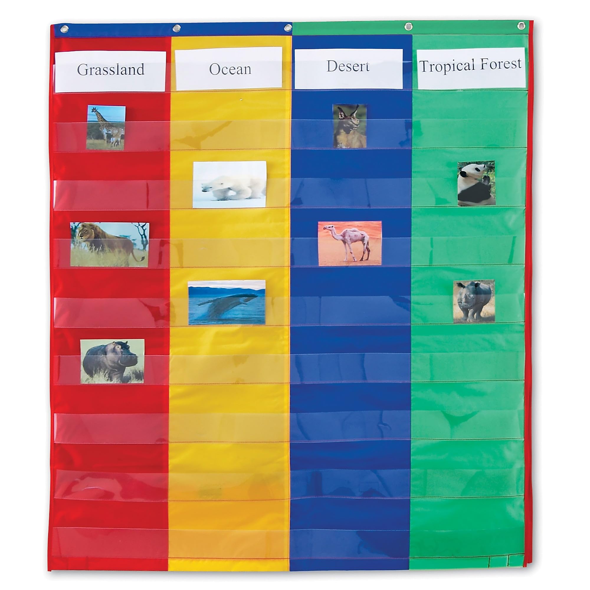 Recursos De Aprendizaje De Pocket Chart, 2 Y 4 Columnas A Doble Cara - Venta Internacional.