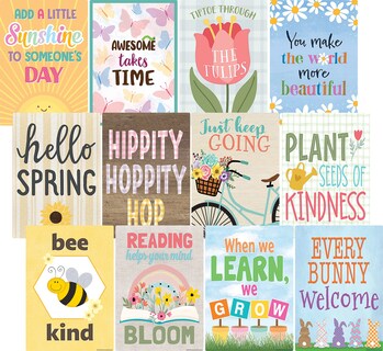 Foto 1 | Paquete De Pósteres De Recursos Creados Por El Profesor Spring, 11 X 40 Cm X 12 - Venta Internacional.