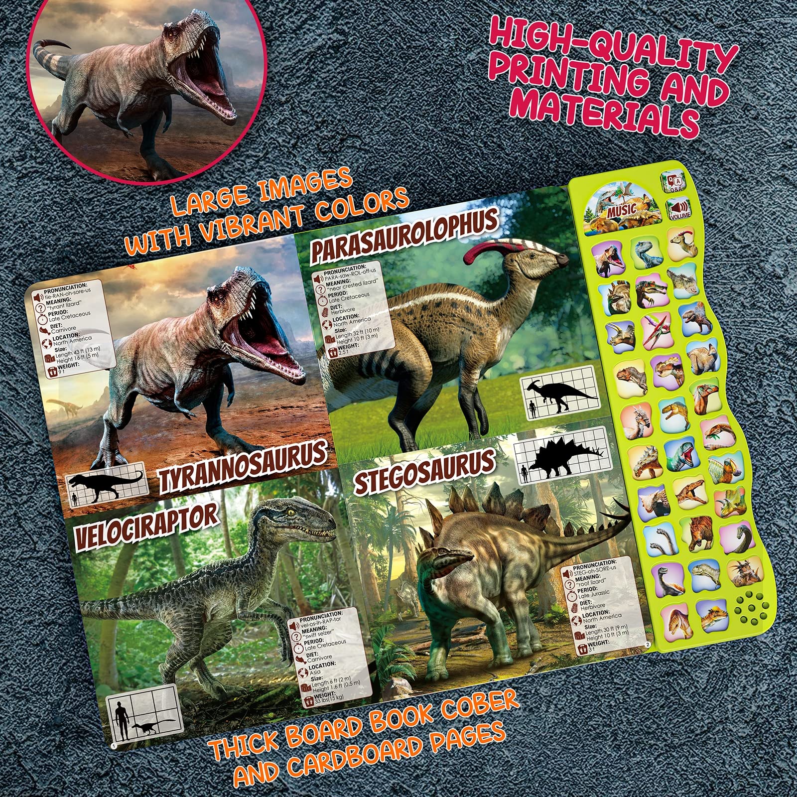 Foto 5 pulgar | Libro De Dinosaurios Con Sonidos Para Niños De 3 A 5 Años Con 30 Especies - Venta Internacional.