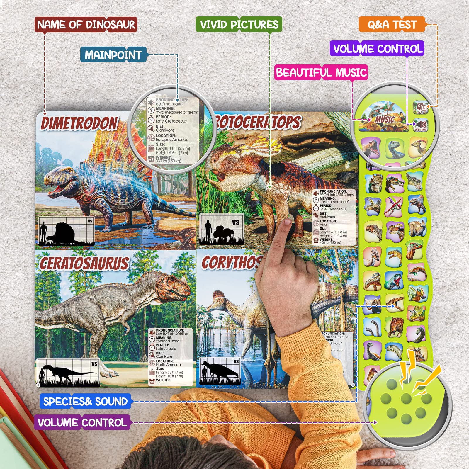Foto 6 pulgar | Libro De Dinosaurios Con Sonidos Para Niños De 3 A 5 Años Con 30 Especies - Venta Internacional.