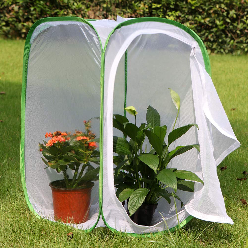 Foto 4 pulgar | Terrario En Jaula Para Hábitat De Insectos Y Mariposas Restcloud - Venta Internacional.