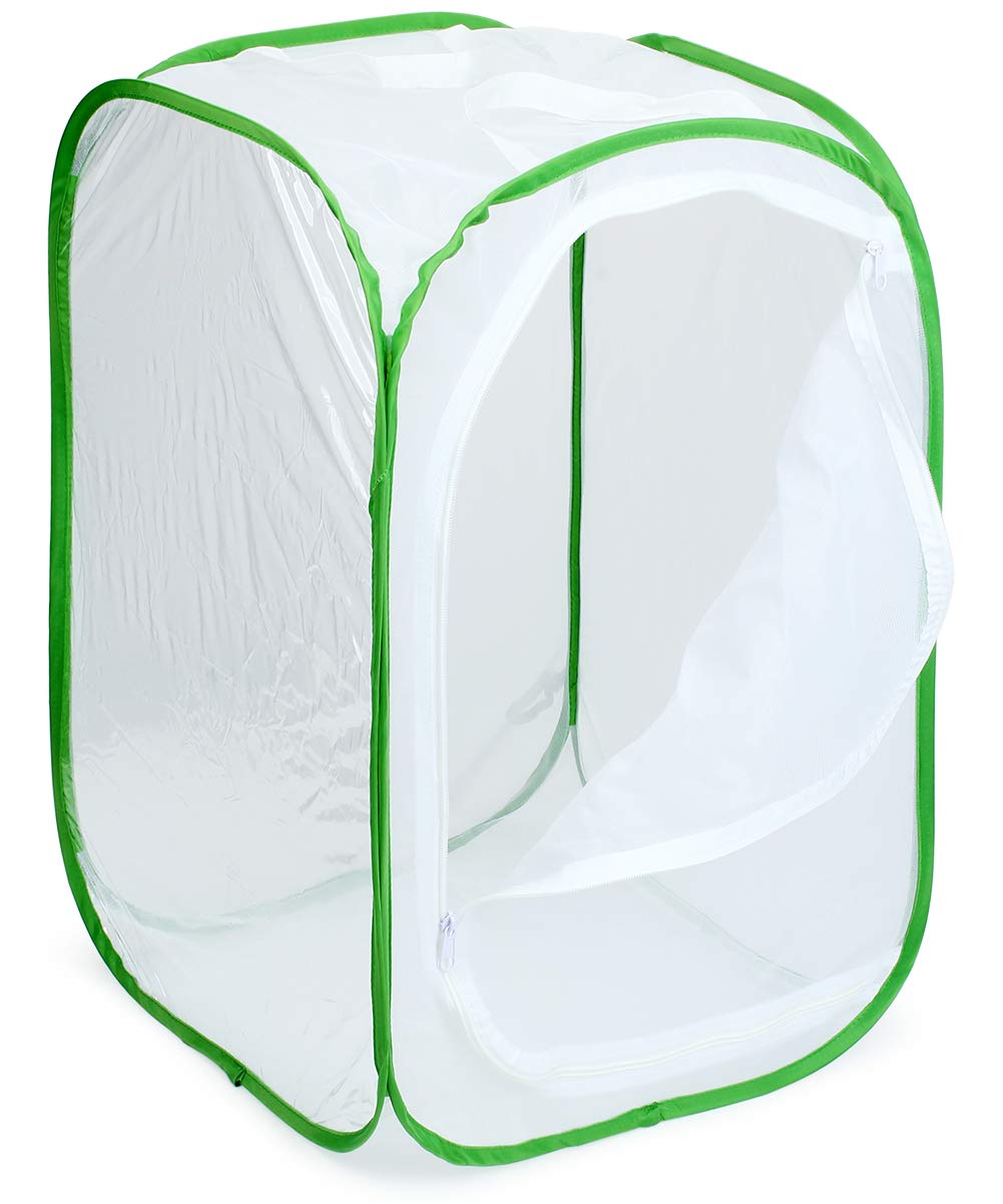 Foto 5 pulgar | Terrario En Jaula Para Hábitat De Insectos Y Mariposas Restcloud - Venta Internacional.