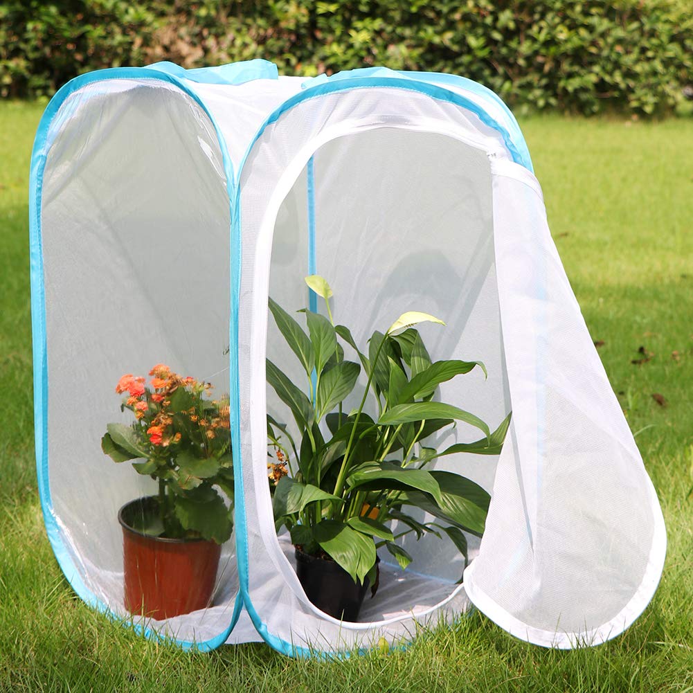 Foto 4 pulgar | Terrario En Jaula Para Hábitat De Insectos Y Mariposas Restcloud - Venta Internacional.