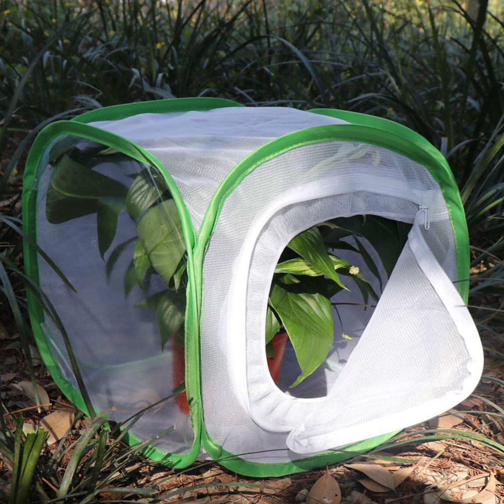 Foto 4 pulgar | Jaula De Hábitat Para Insectos Y Mariposas, Terrario Restcloud, 30 X 30 Cm - Venta Internacional.