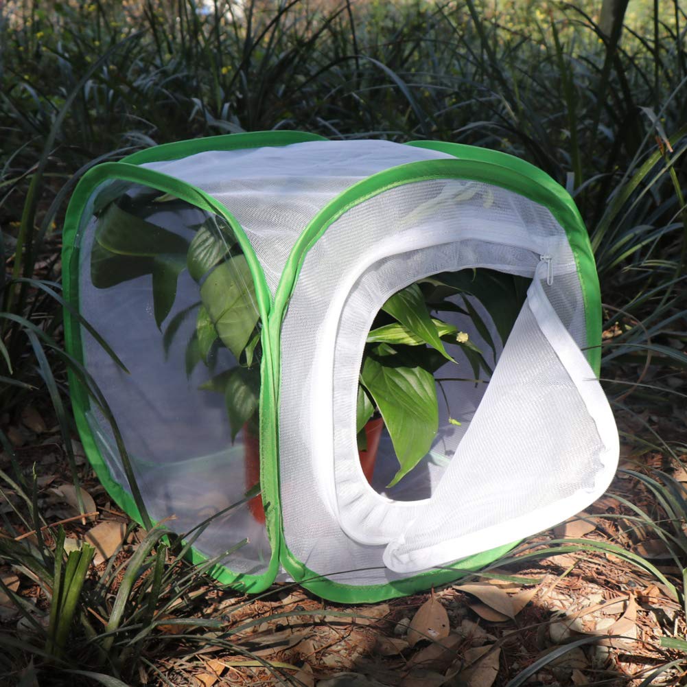 Foto 4 | Jaula De Hábitat Para Insectos Y Mariposas, Terrario Restcloud, 30 X 30 Cm - Venta Internacional.