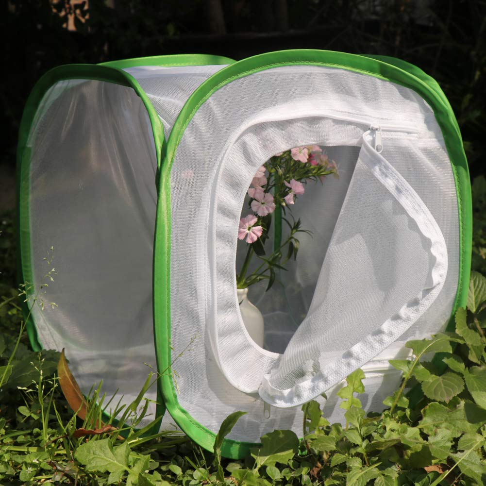 Foto 6 | Jaula De Hábitat Para Insectos Y Mariposas, Terrario Restcloud, 30 X 30 Cm - Venta Internacional.