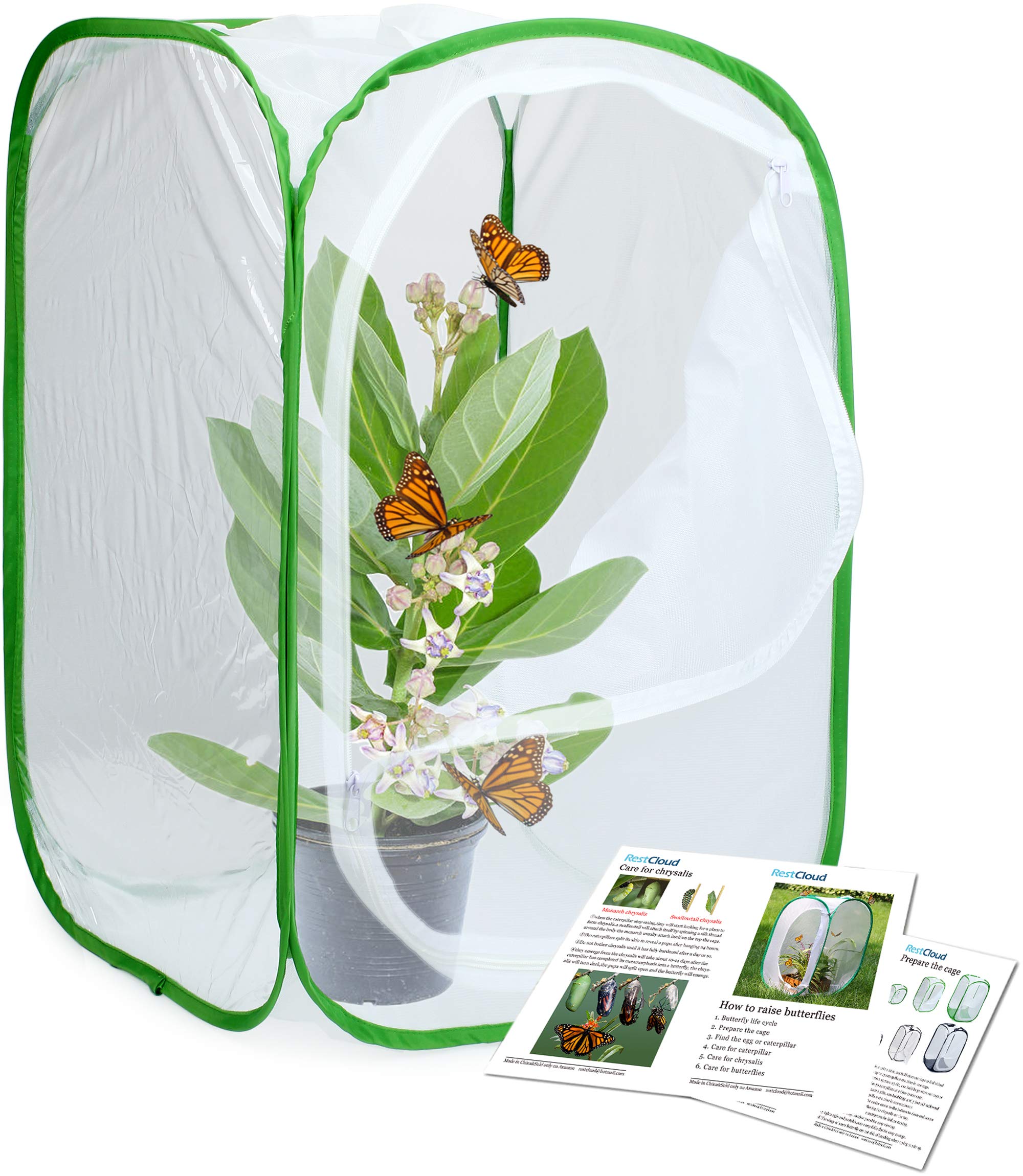 Foto 5 pulgar | Hábitat De Insectos Y Mariposas Restcloud Monarch Recinto - Venta Internacional.