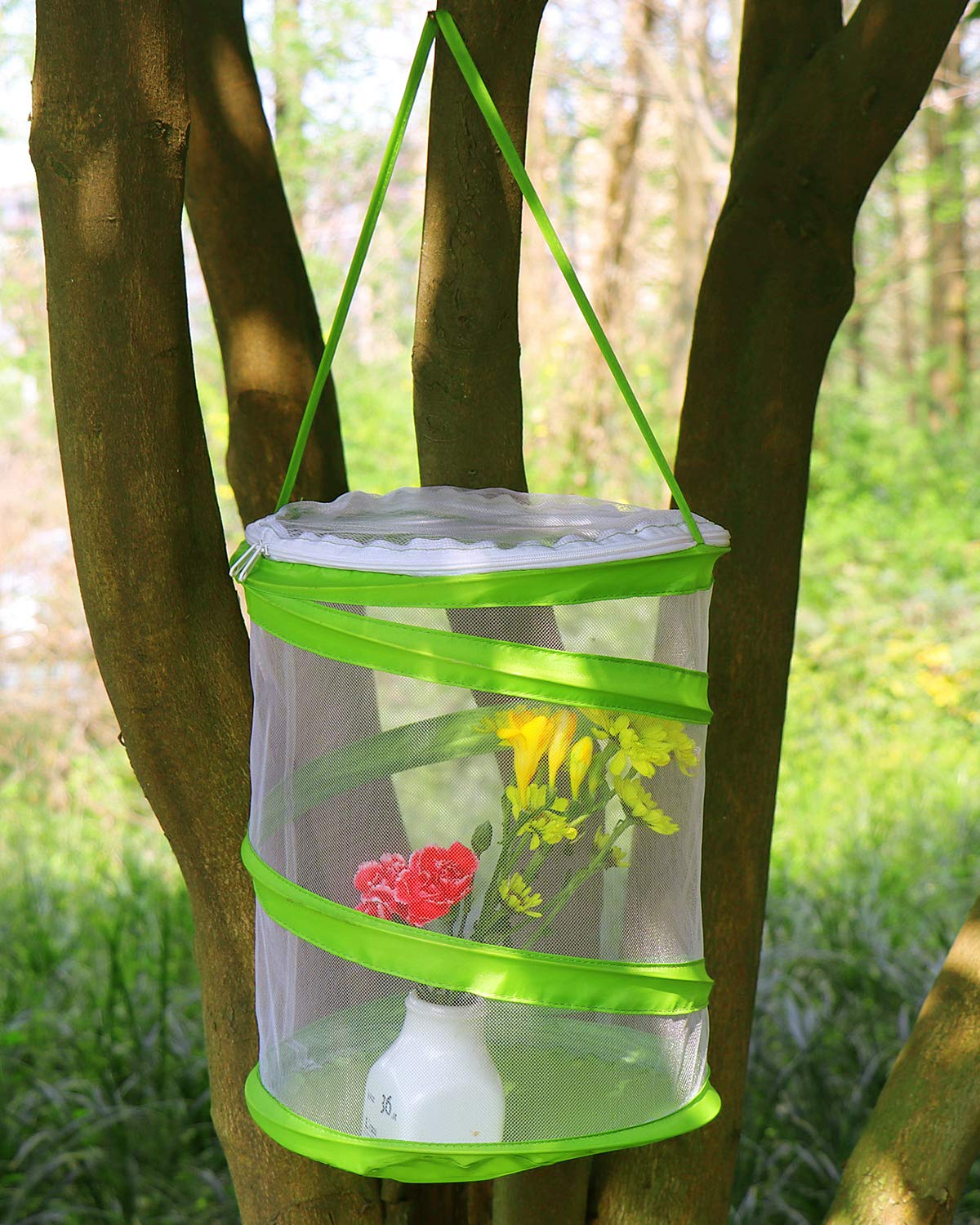 Foto 3 pulgar | Terrario En Jaula Para Hábitat De Insectos Y Mariposas Restcloud - Venta Internacional.