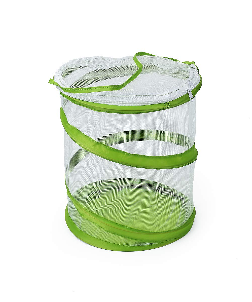 Foto 4 pulgar | Terrario En Jaula Para Hábitat De Insectos Y Mariposas Restcloud - Venta Internacional.