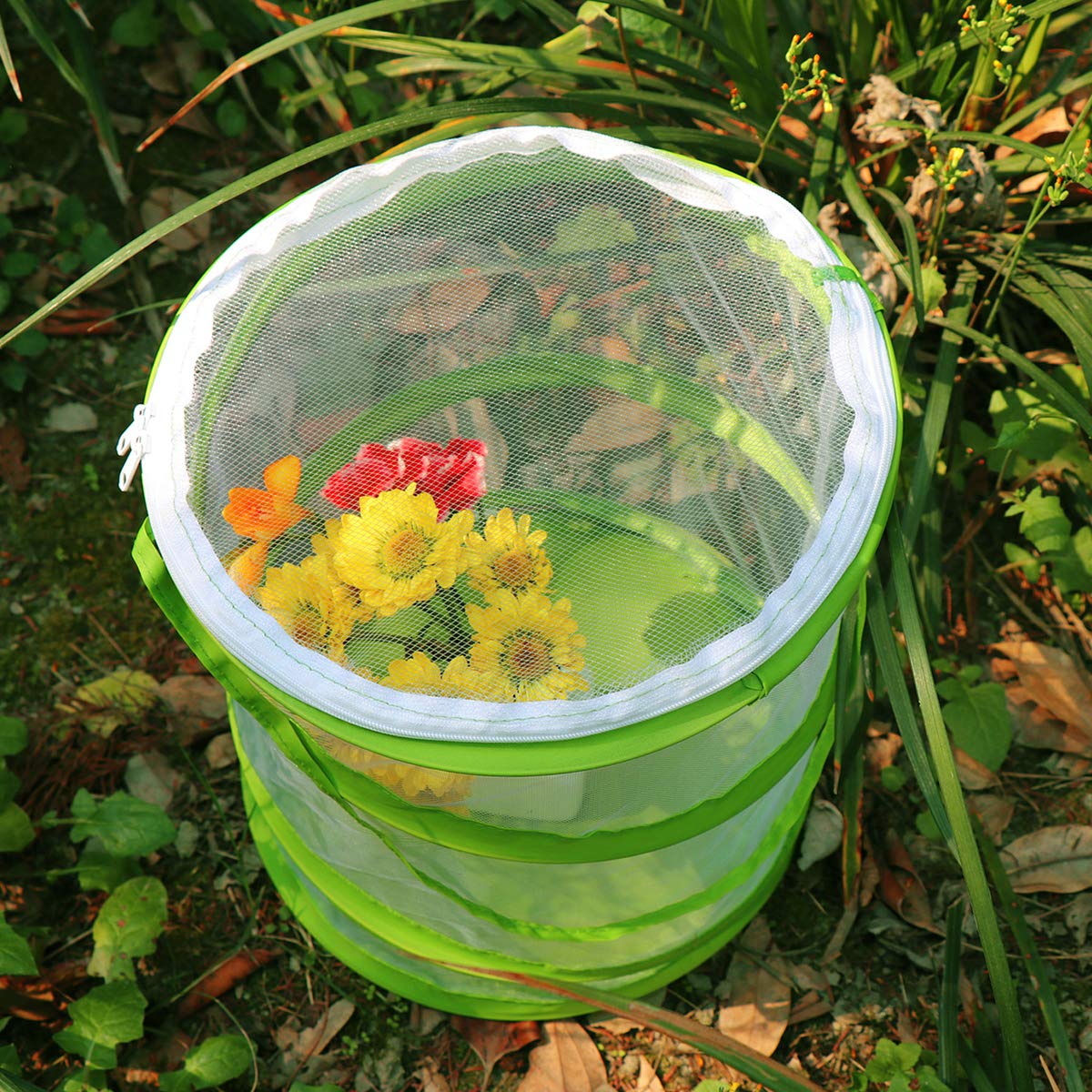 Foto 5 | Terrario En Jaula Para Hábitat De Insectos Y Mariposas Restcloud - Venta Internacional.