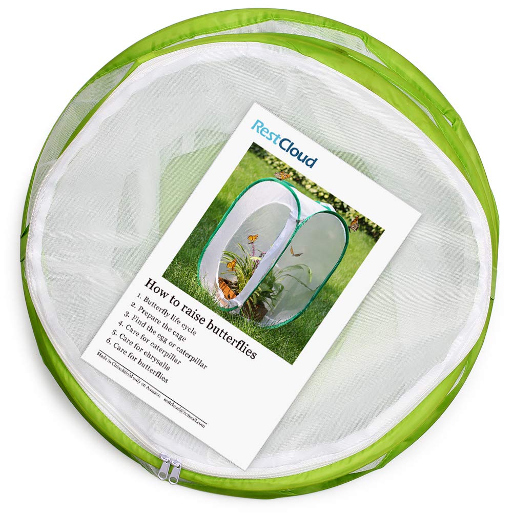 Foto 4 pulgar | Terrario En Jaula Para Hábitat De Insectos Y Mariposas Restcloud - Venta Internacional.