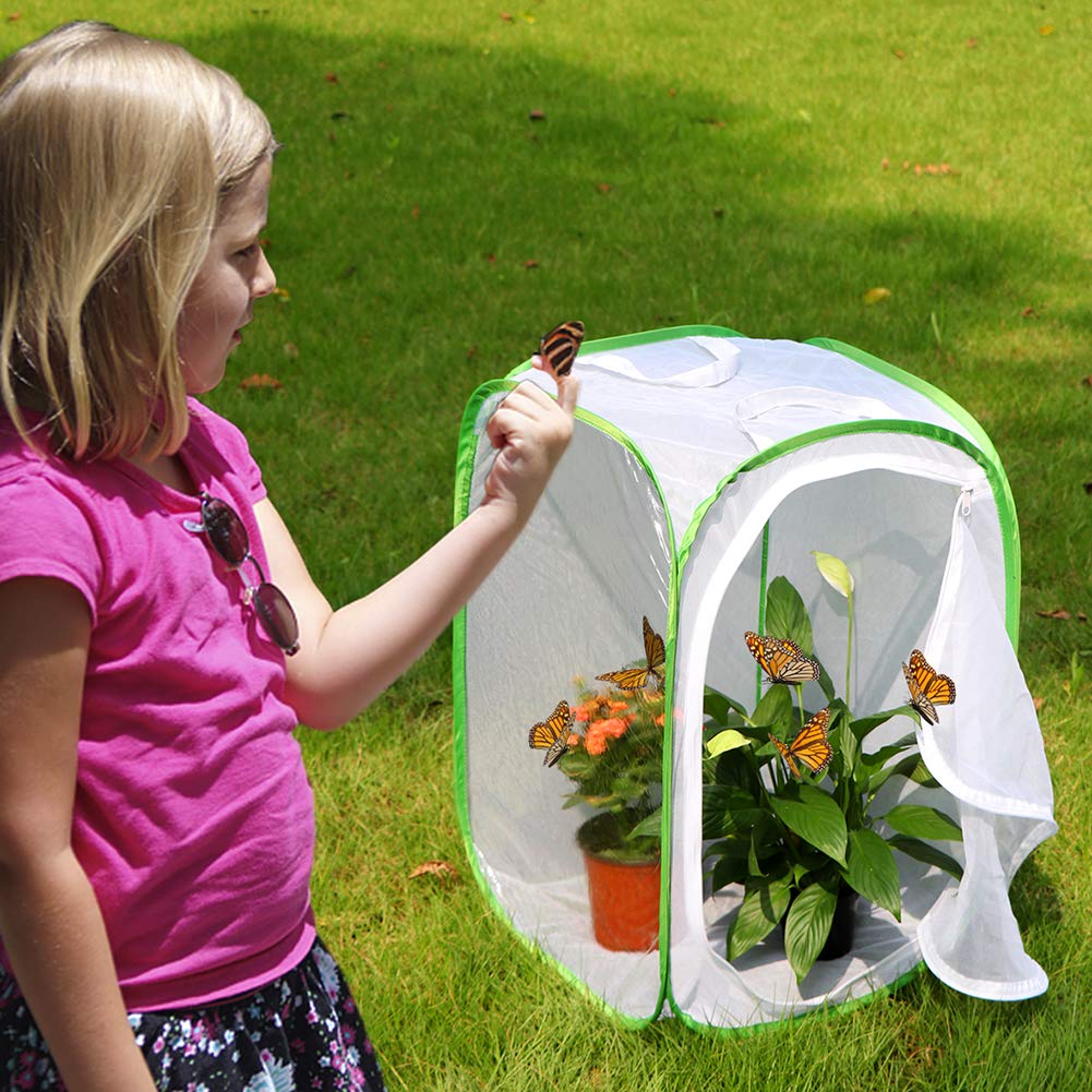 Foto 3 pulgar | Jaula Para Insectos Butterfly Habitat Restcloud Professional - Venta Internacional.