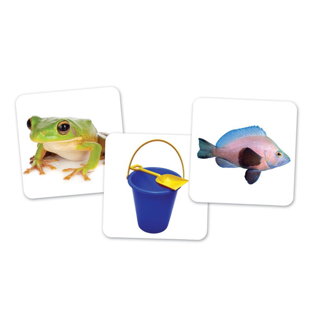 Foto 4 pulgar | Set De Clasificación, Learning Resources, Vocales, Búhos, Con 6 Búhos, 100 Cartas - Venta Internacional.