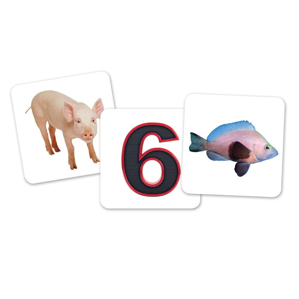 Foto 7 pulgar | Set De Clasificación, Learning Resources, Vocales, Búhos, Con 6 Búhos, 100 Cartas - Venta Internacional.