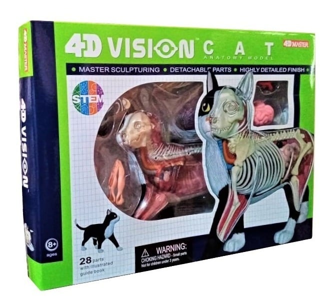 Figura de Gato Modelo de Anatomía 4d Sistema Digestivo Oseo Muscular 4d Master $1,499