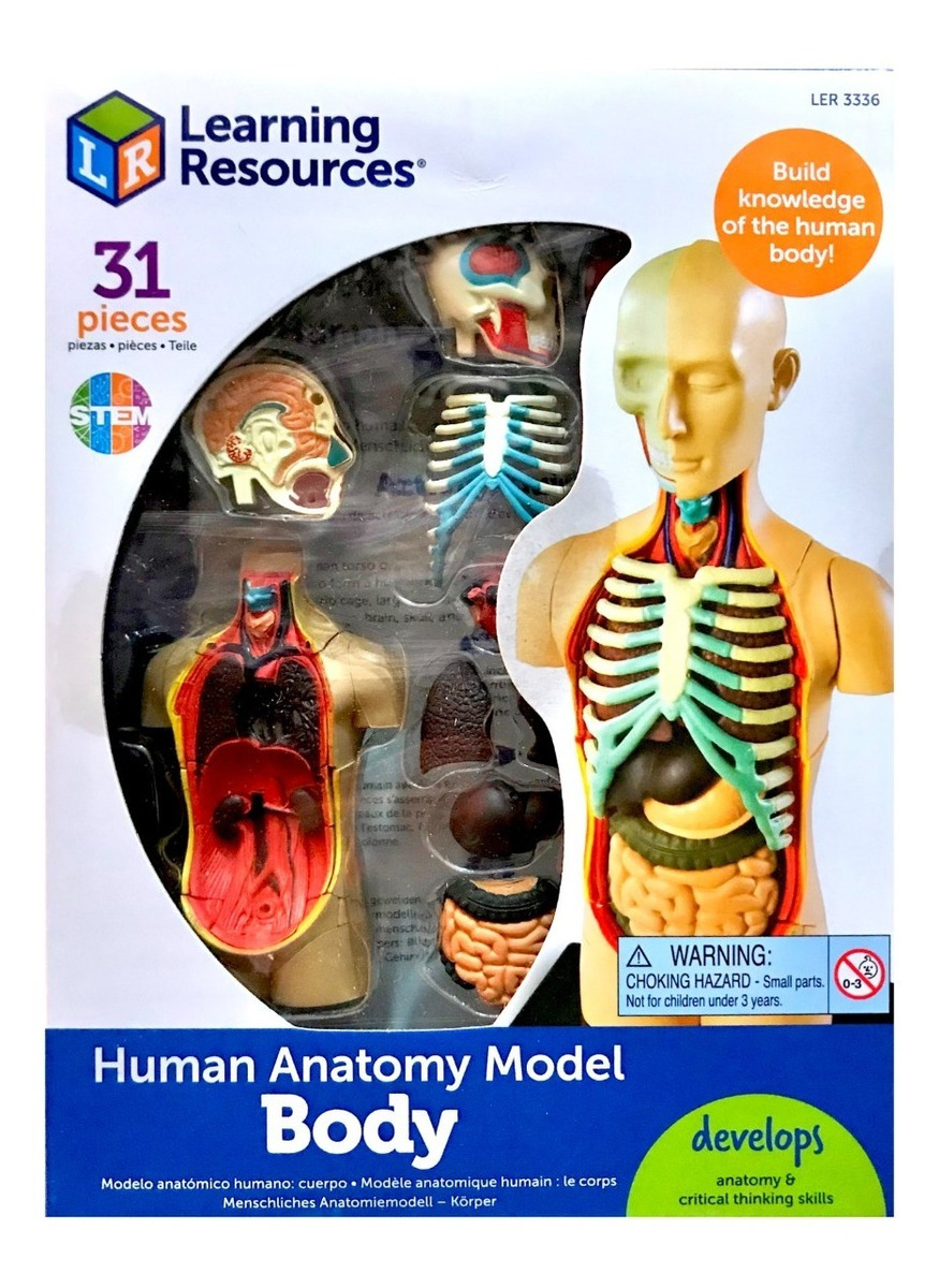 Foto 2 pulgar | Modelo Anatómico de Cuerpo Humano Learning Resources 31 Piezas