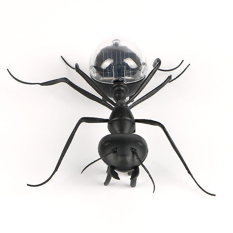 Foto 3 pulgar | Venta Internacional - Juguete Robótico Con Insectos Solares, Educativo, Juega Y Aprende