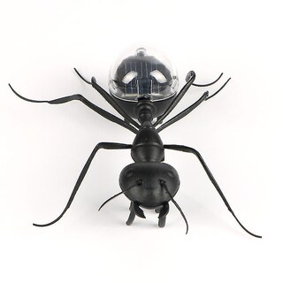 Foto 2 | Venta Internacional - Juguete Robótico Con Insectos Solares, Educativo, Juega Y Aprende