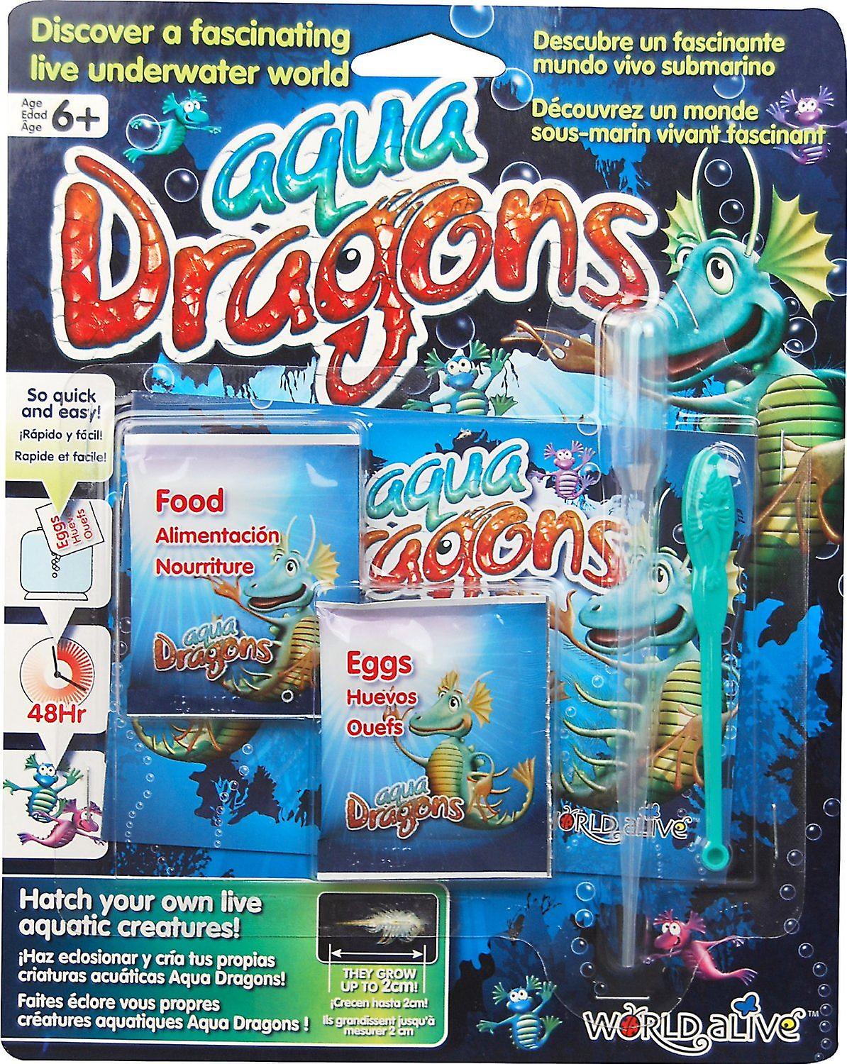 Foto 2 pulgar | Venta Internacional - Kit Cardado Brainstorm Backer De Aqua Dragons Con Huevos En Conserva