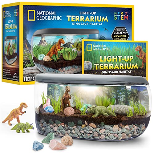 Foto 2 pulgar | Venta Internacional - Kit De Terrario Con Diseño De Dinosaurios Iluminados Para Niños De National Geographic