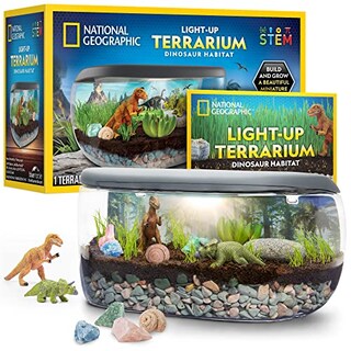 Foto 1 | Venta Internacional - Kit De Terrario Con Diseño De Dinosaurios Iluminados Para Niños De National Geographic