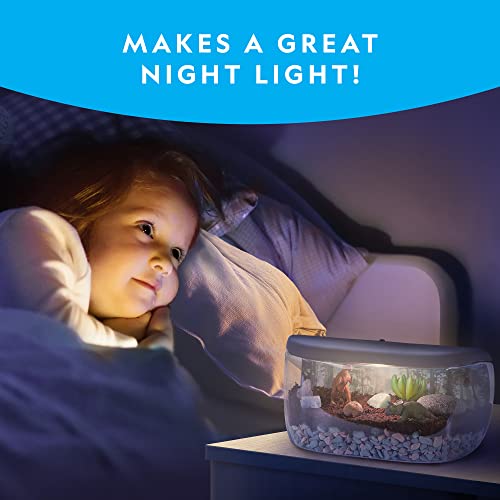 Foto 5 pulgar | Venta Internacional - Kit De Terrario Con Diseño De Dinosaurios Iluminados Para Niños De National Geographic