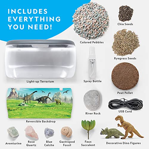 Foto 6 pulgar | Venta Internacional - Kit De Terrario Con Diseño De Dinosaurios Iluminados Para Niños De National Geographic