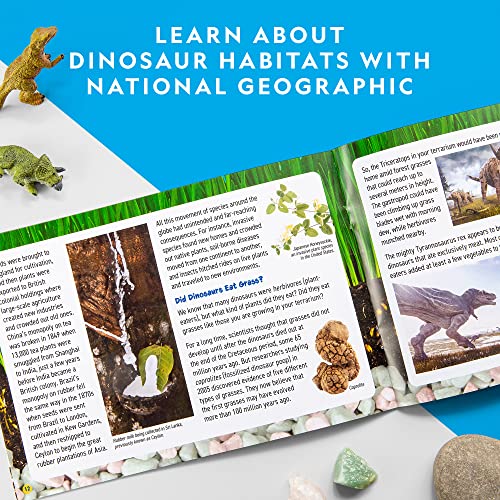 Foto 7 pulgar | Venta Internacional - Kit De Terrario Con Diseño De Dinosaurios Iluminados Para Niños De National Geographic