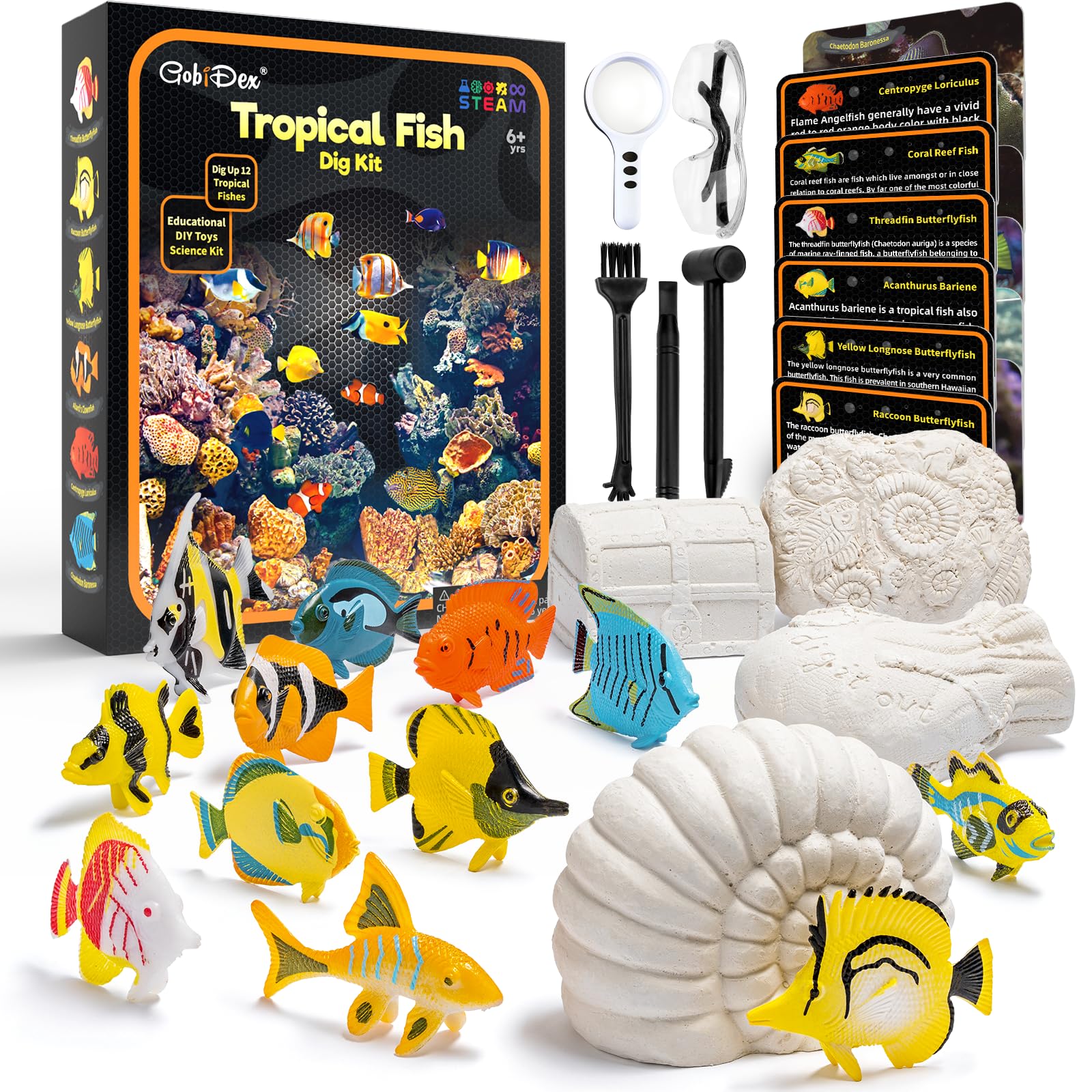 Foto 1 | Kit Científico Gobidex Ocean Life Fish Dig Para Niños De 6 A 12 Años - Venta Internacional.