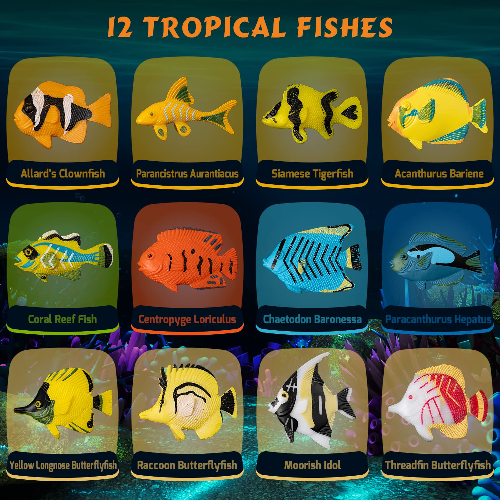 Foto 3 pulgar | Kit Científico Gobidex Ocean Life Fish Dig Para Niños De 6 A 12 Años - Venta Internacional.