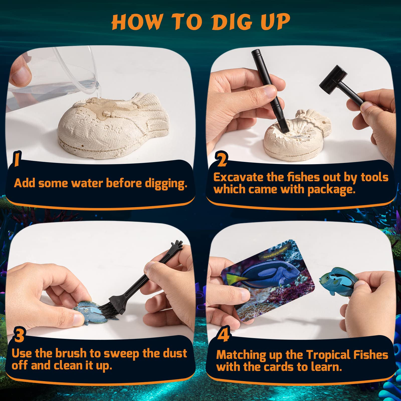 Foto 4 pulgar | Kit Científico Gobidex Ocean Life Fish Dig Para Niños De 6 A 12 Años - Venta Internacional.