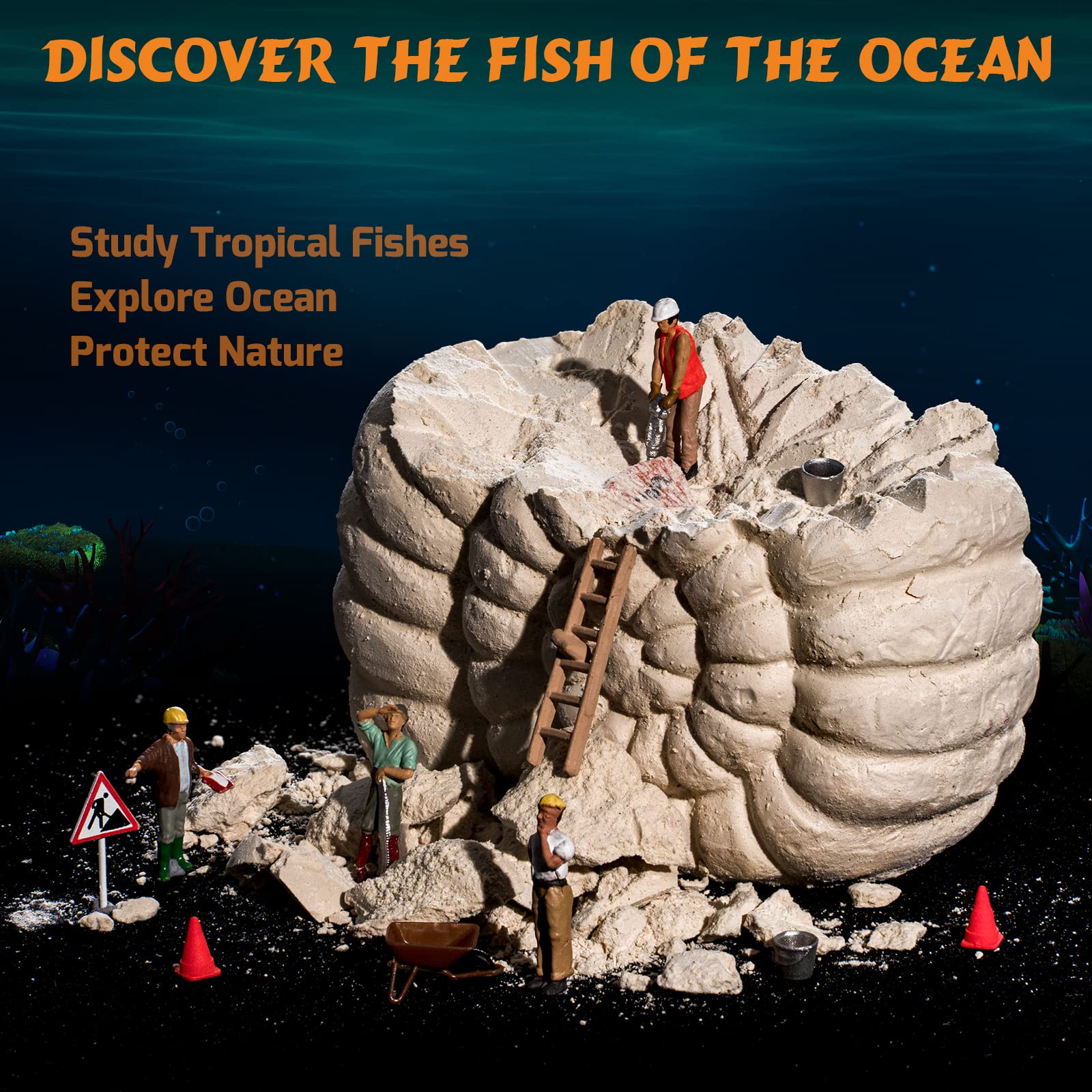 Foto 5 pulgar | Kit Científico Gobidex Ocean Life Fish Dig Para Niños De 6 A 12 Años - Venta Internacional.