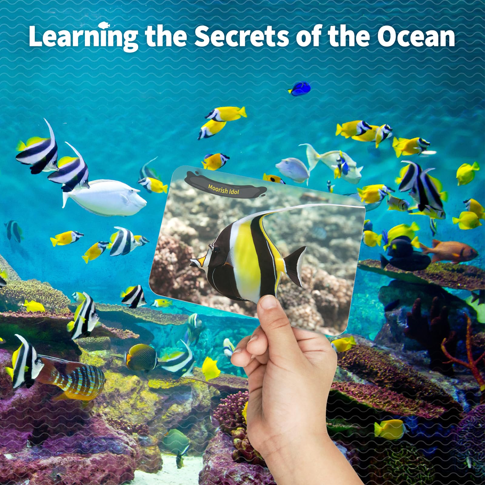 Foto 7 pulgar | Kit Científico Gobidex Ocean Life Fish Dig Para Niños De 6 A 12 Años - Venta Internacional.