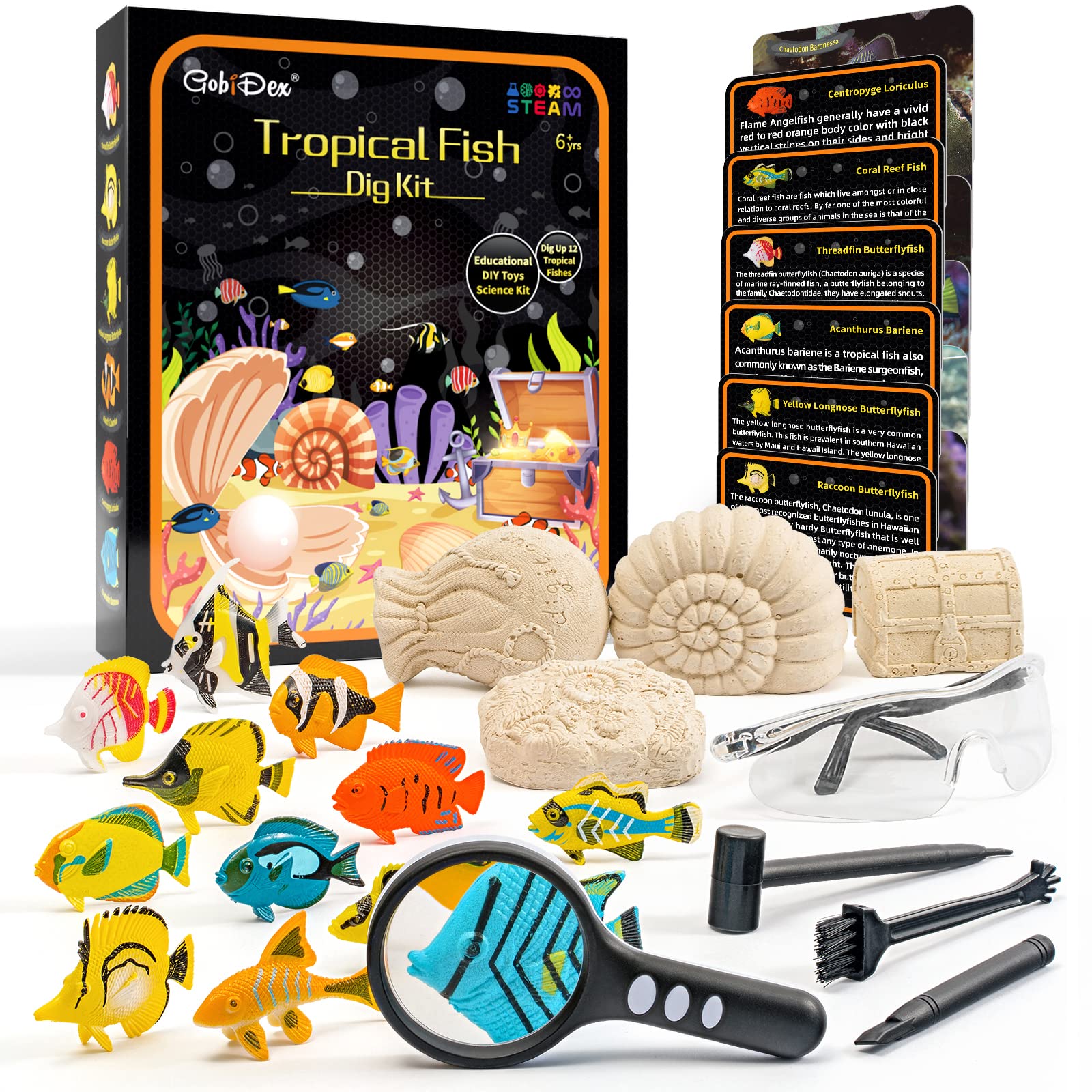 Foto 1 | Kit Científico Gobidex Ocean Fish Dig Con 12 Juguetes Para Peces A Partir De 6 Años - Venta Internacional.