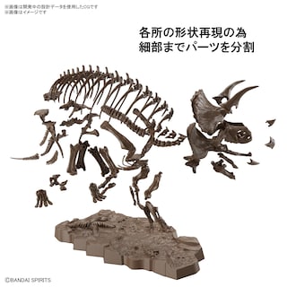 Foto 4 | Maqueta Bandai Hobby Imaginary Skeleton Triceratops- Venta Internacional