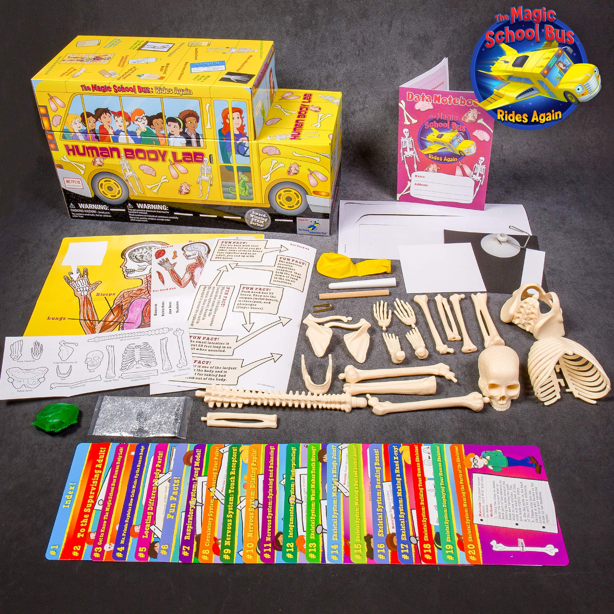 Foto 3 pulgar | Kit Stem The Magic School Bus: Human Body Lab Horizon Group - Venta Internacional