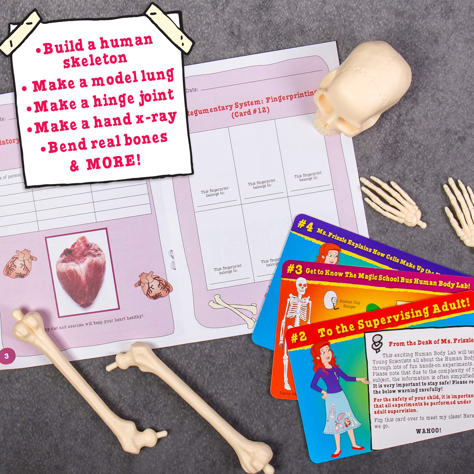 Foto 4 pulgar | Kit Stem The Magic School Bus: Human Body Lab Horizon Group - Venta Internacional