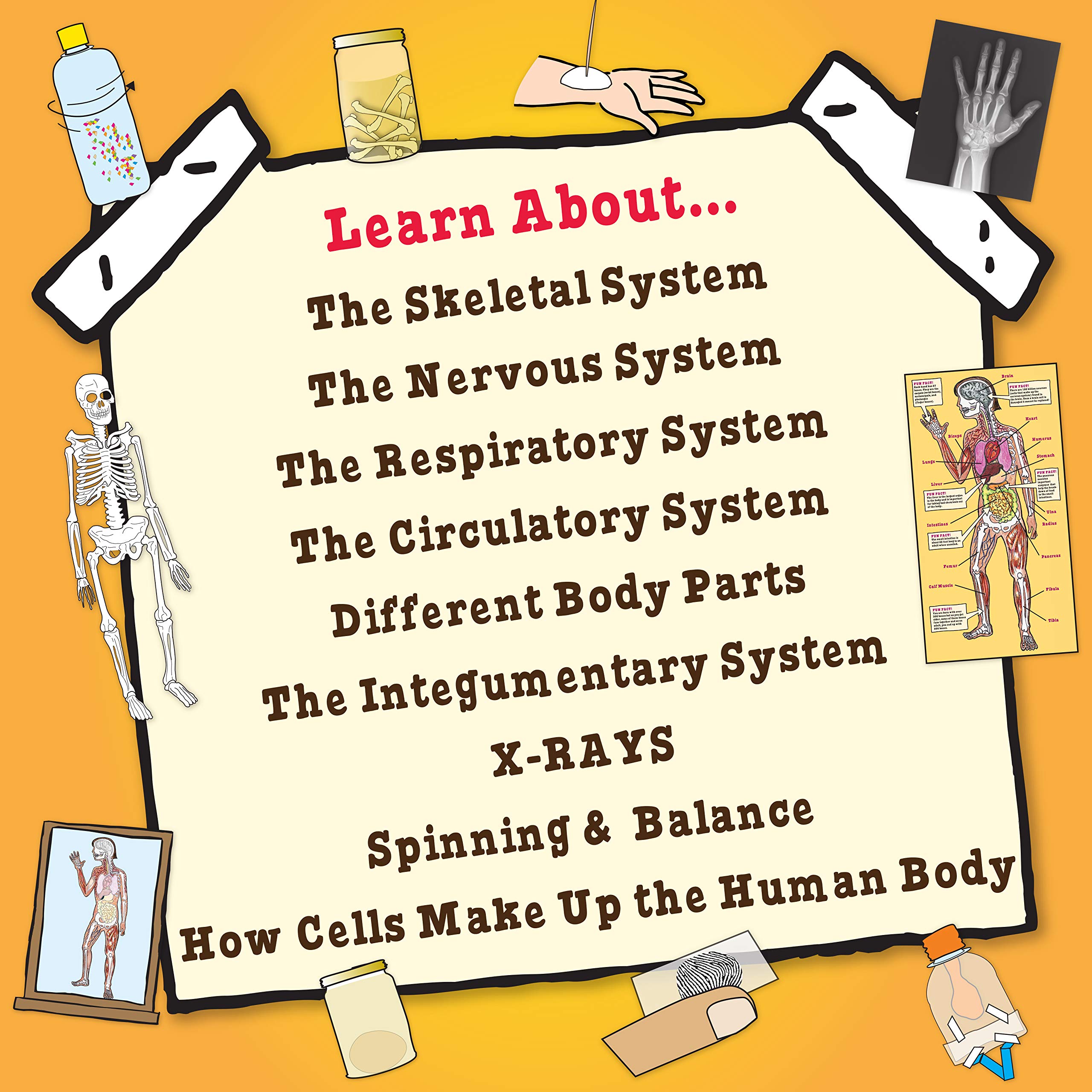 Foto 5 pulgar | Kit Stem The Magic School Bus: Human Body Lab Horizon Group - Venta Internacional