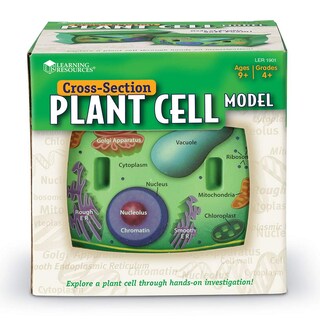 Foto 2 | Plant Cell Model Learning Resources Transversal Section Foam 7+ - Venta Internacional.