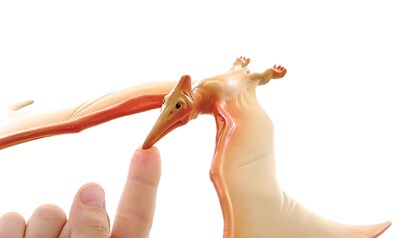 Foto 3 | Balancing Pteranodon Toys Brainstorm Toys Amazing Multicolor - Venta Internacional.
