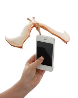 Foto 6 | Balancing Pteranodon Toys Brainstorm Toys Amazing Multicolor - Venta Internacional.