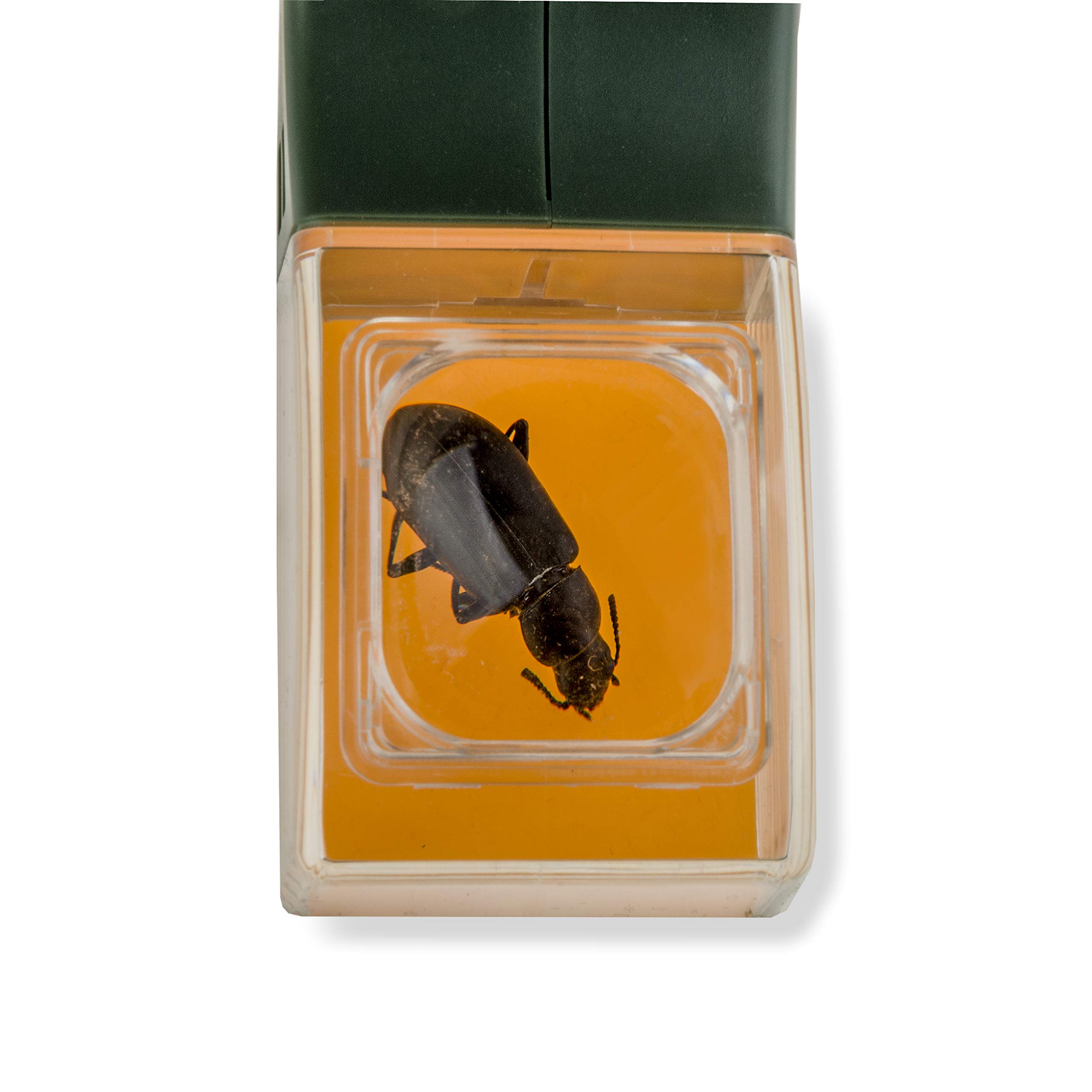 Foto 5 pulgar | Herramienta Para Atrapar Insectos Carson Bugview, Lupa De Liberación Rápida, Color Verde - Venta Internacional.