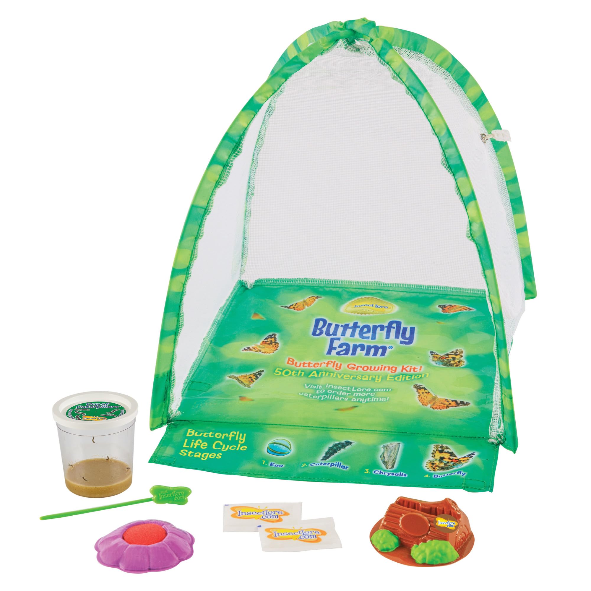 Kit De Mariposas Butterfly Farm Insect Lore Con Orugas Vivas - Venta Internacional.