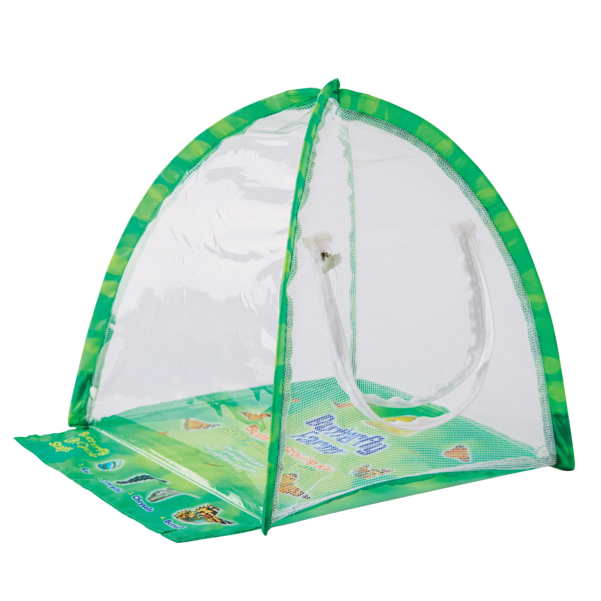 Foto 4 pulgar | Kit De Mariposas Butterfly Farm Insect Lore Con Orugas Vivas - Venta Internacional.