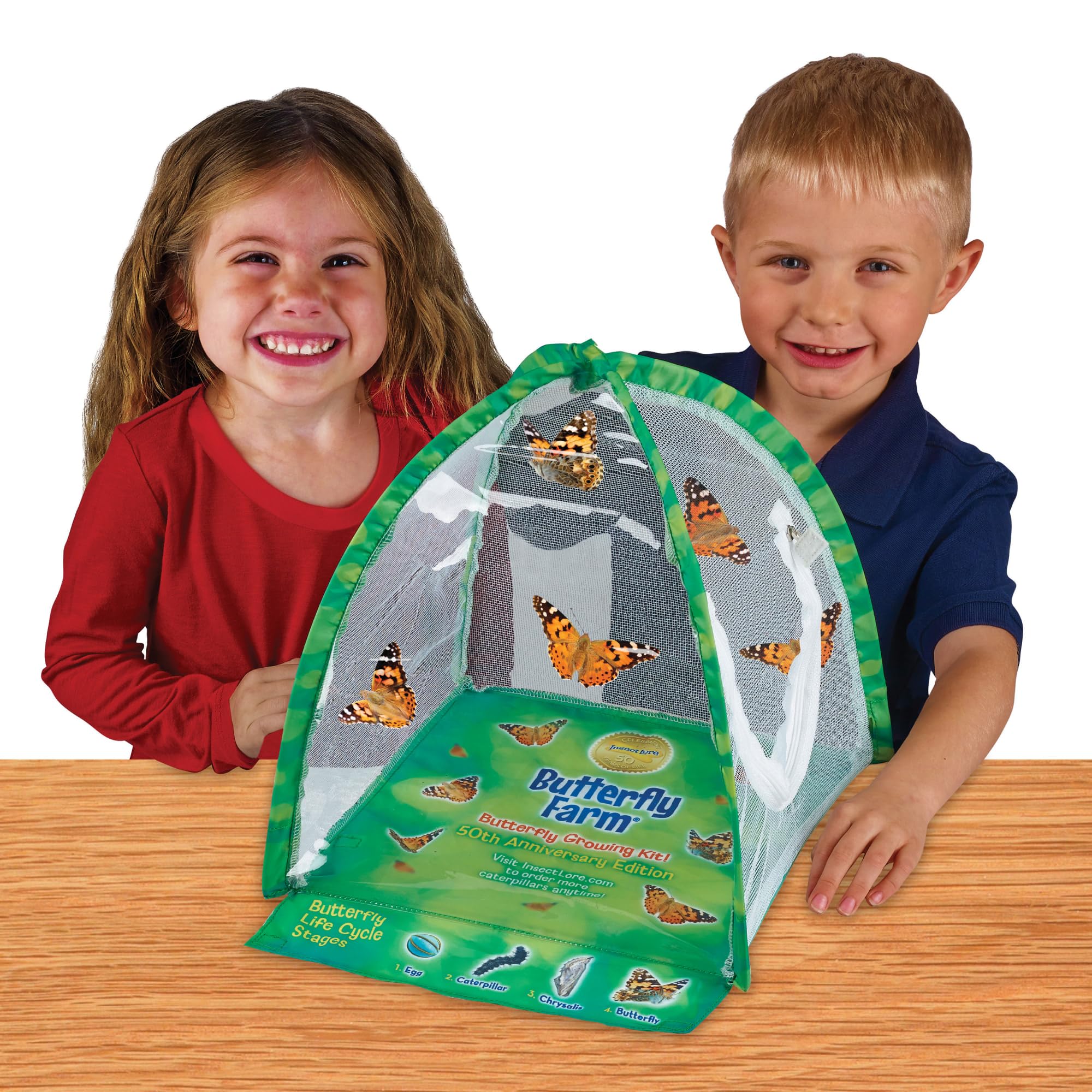 Foto 5 pulgar | Kit De Mariposas Butterfly Farm Insect Lore Con Orugas Vivas - Venta Internacional.