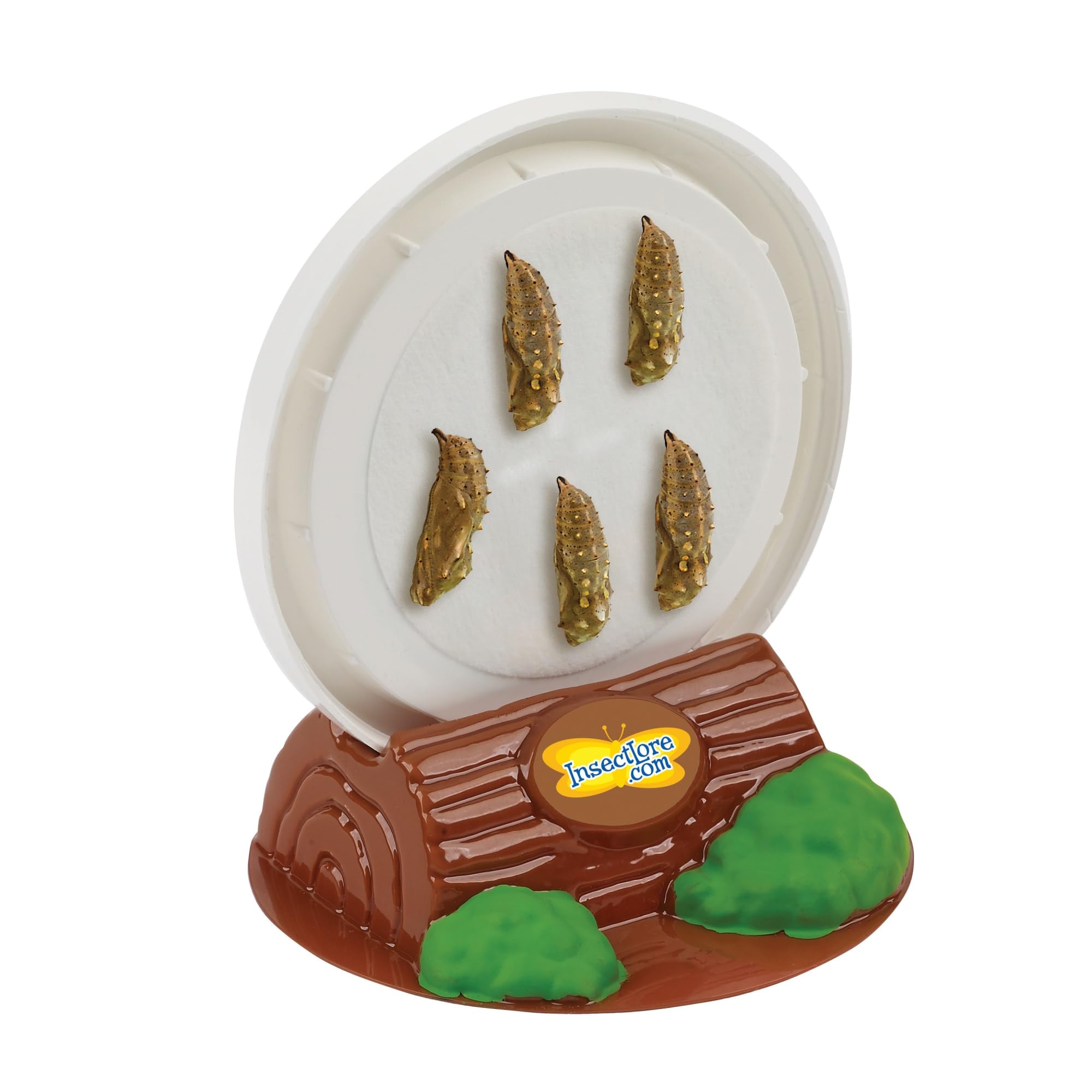 Foto 5 | Kit De Mariposas Butterfly Farm Insect Lore Con Orugas Vivas - Venta Internacional.