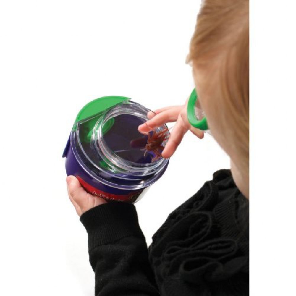 Foto 5 | Visor De Errores Y Estuche Insect Lore Creature Peeper 3 Veces Ampliados - Venta Internacional.