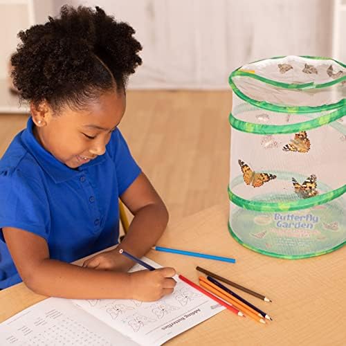 Foto 3 pulgar | Kit De Mariposas Butterfly Garden Insect Lore Con Orugas Vivas - Venta Internacional.
