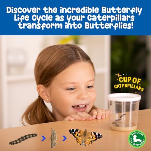 Foto 8 pulgar | Taza De Recambio Butterfly Lore Con Orugas Bebés Vivas - Venta Internacional.
